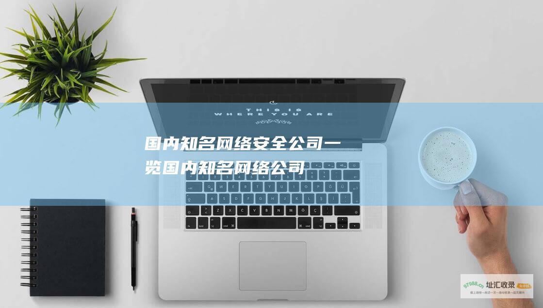 国内知名网络安全公司一览 (国内知名网络公司)