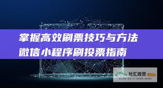 掌握高效刷票技巧与方法 微信小程序刷投票指南 (掌握高效刷票的方法)