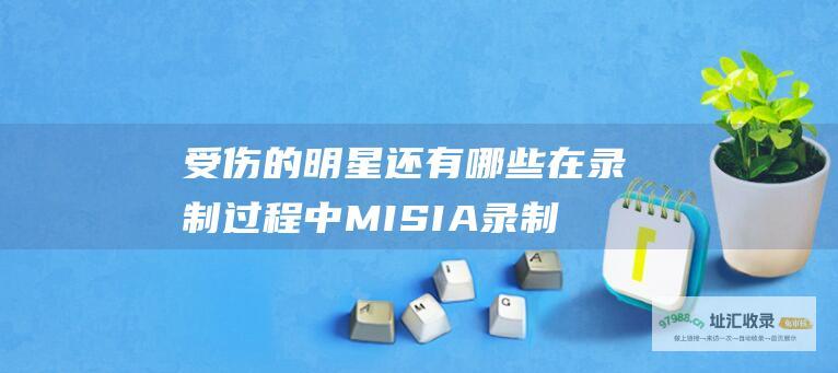 受伤的明星还有哪些 在录制过程中 MISIA录制节目落马骨折 (受伤的明星还活着吗)