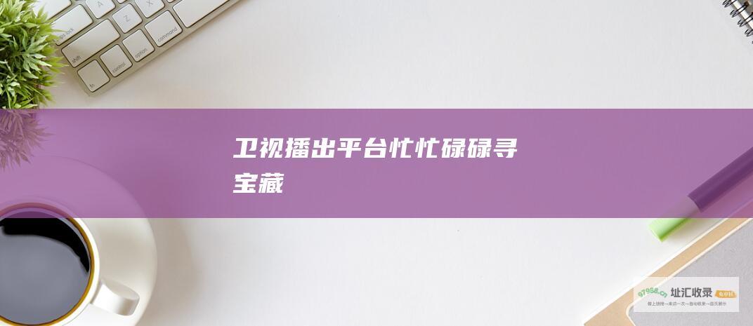 卫视播出平台 忙忙碌碌寻宝藏
