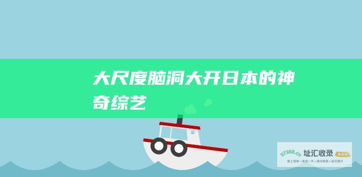 大尺度 脑洞大开 日本的神奇综艺