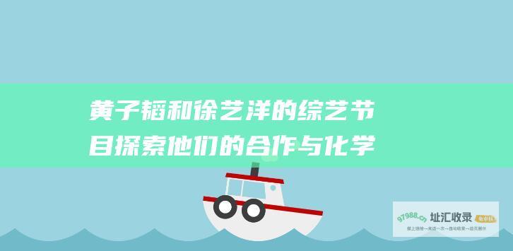 黄子韬和徐艺洋的综艺节目 探索他们的合作与化学反应