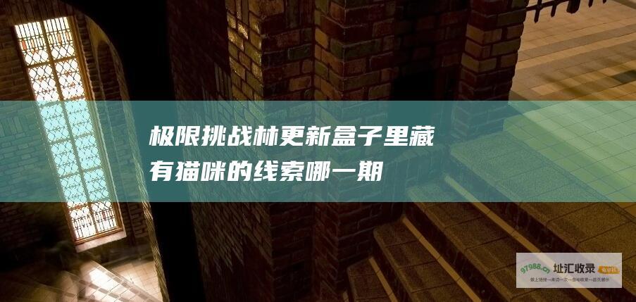 极限挑战 林更新盒子里藏有猫咪的线索 哪一期