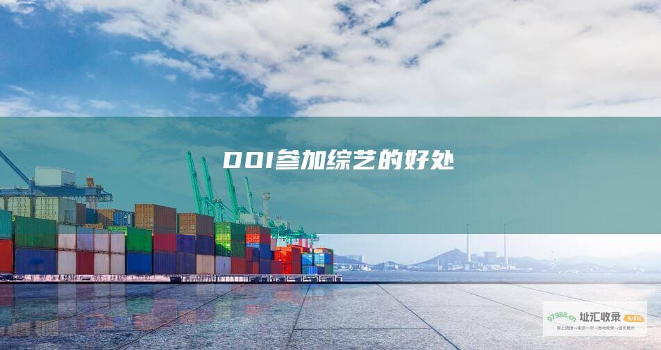DOI 参加 综艺的好处