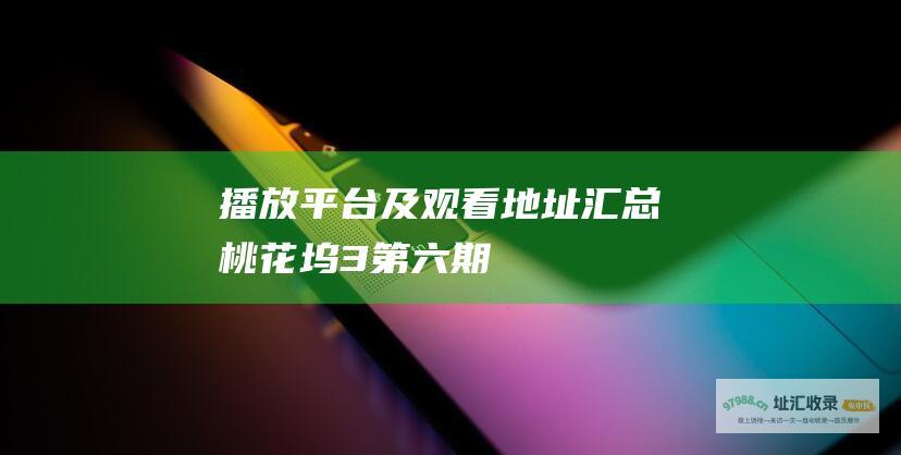 播放平台及观看地址汇总 桃花坞3第六期