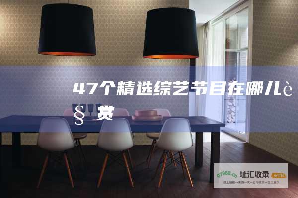 47 个精选综艺节目 在哪儿观赏