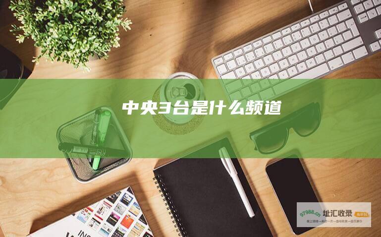 中央3台是什么频道