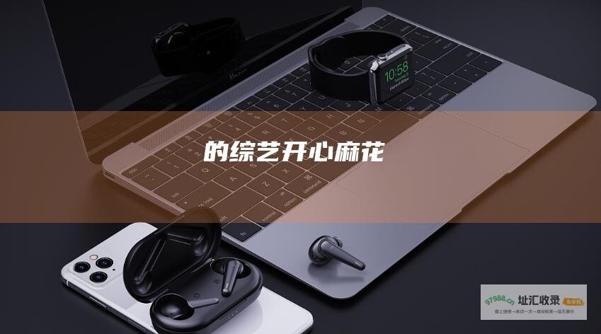 的综艺 开心麻花