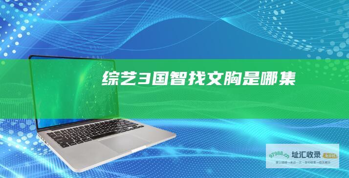 综艺3国智找文胸是哪集