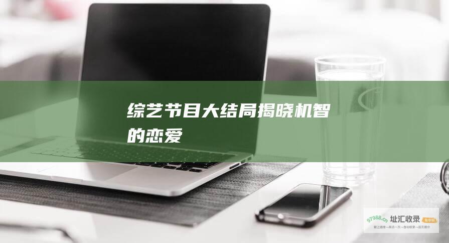 综艺节目大结局揭晓 机智的恋爱