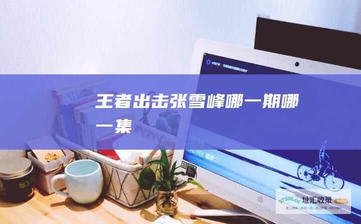 王者出击张雪峰哪一期哪一集