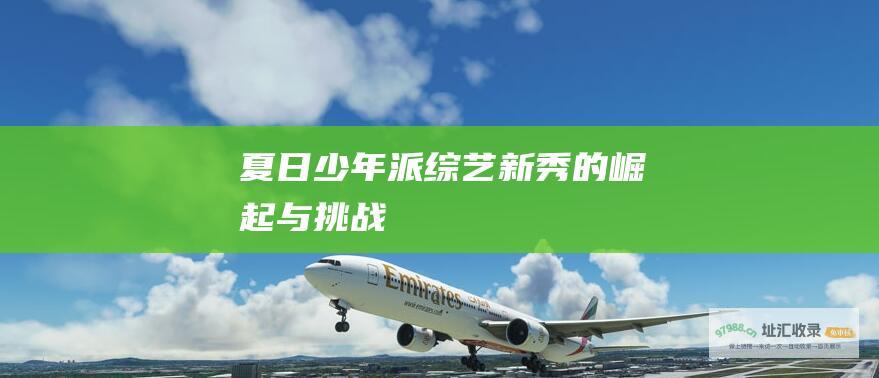 夏日少年派 综艺新秀的崛起与挑战