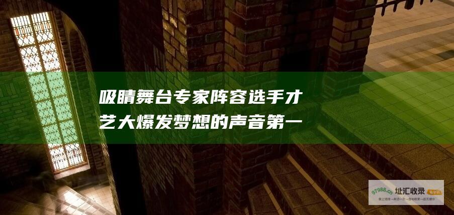 吸睛舞台 专家阵容 选手才艺大爆发 梦想的声音第一季评价