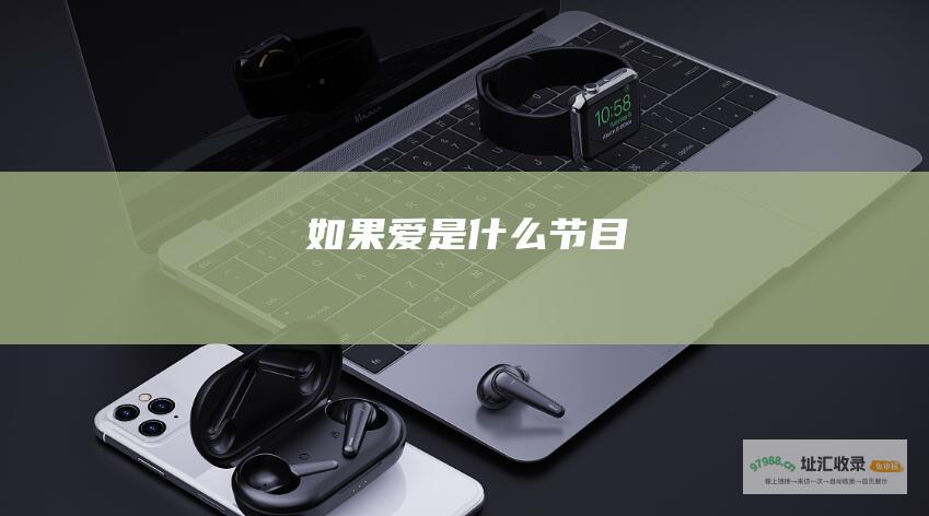 如果爱是什么节目