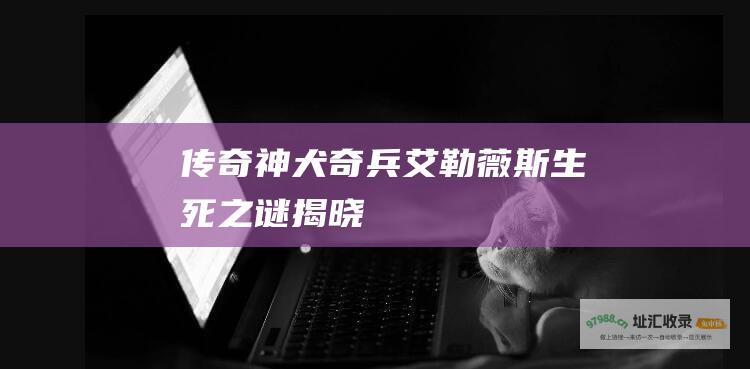 传奇神犬奇兵艾勒薇斯 生死之谜揭晓
