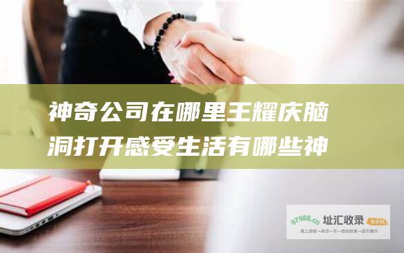 神奇公司在哪里 王耀庆 脑洞打开感受生活 有哪些神奇的地方