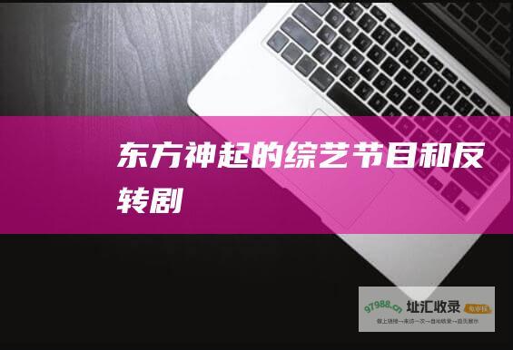 东方神起的综艺节目和反转剧