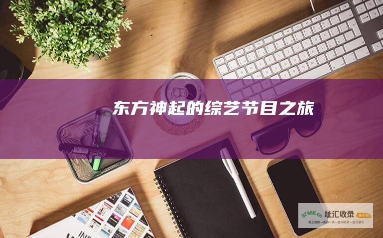 东方神起的综艺节目之旅