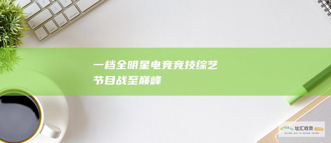 一档全明星电竞竞技综艺节目 战至巅峰