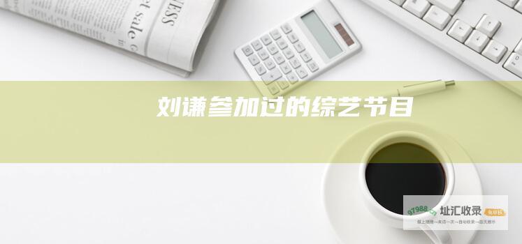 刘谦过的节目