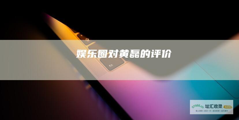 圈对黄磊的评价