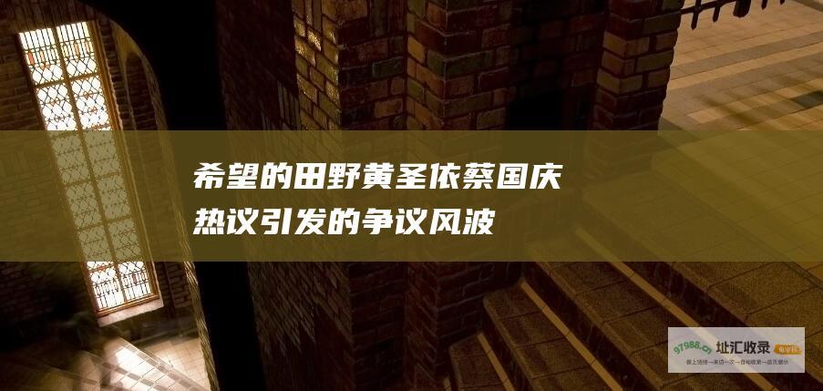 希望的田野黄圣依蔡国庆热议引发的争议风波