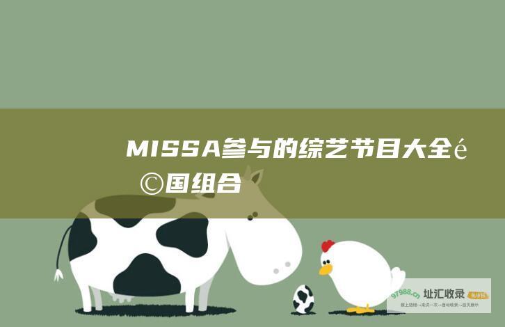 MISSA参与的综艺节目大全韩国组合