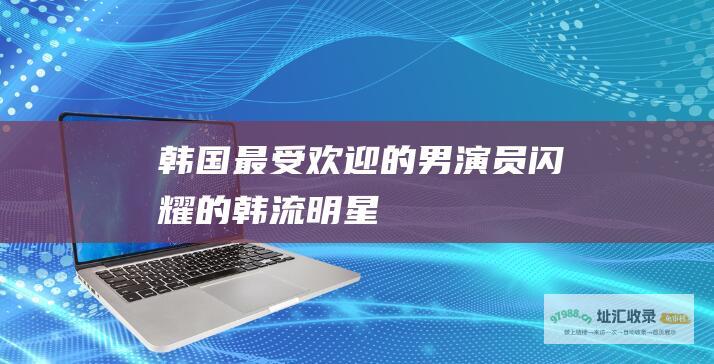 韩国最受欢迎的男演员闪耀的韩流明星