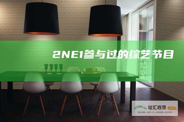2NE1参与过的节目