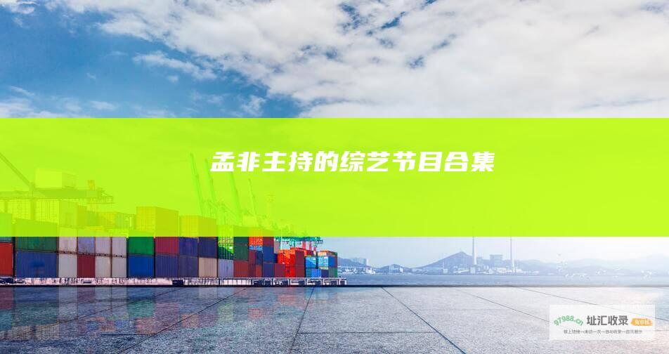 孟非主持的节目合集