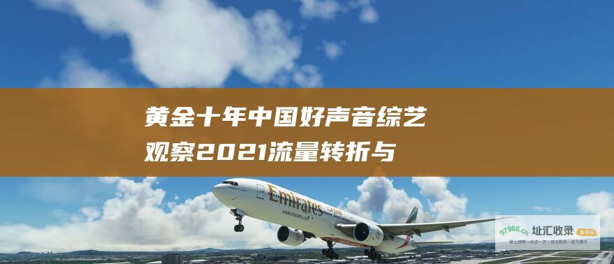 黄金十年 中国好声音 综艺观察 2021 流量转折与未来迷局