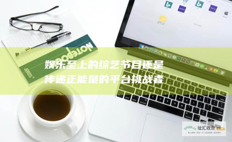 娱乐至上的综艺节目 还是传递正能量的平台 挑战者联盟