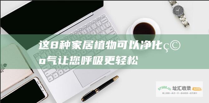 这8种家居植物可以净化空气 让您呼吸更轻松