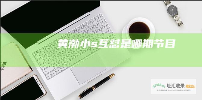 黄渤小s互怼是哪期节目
