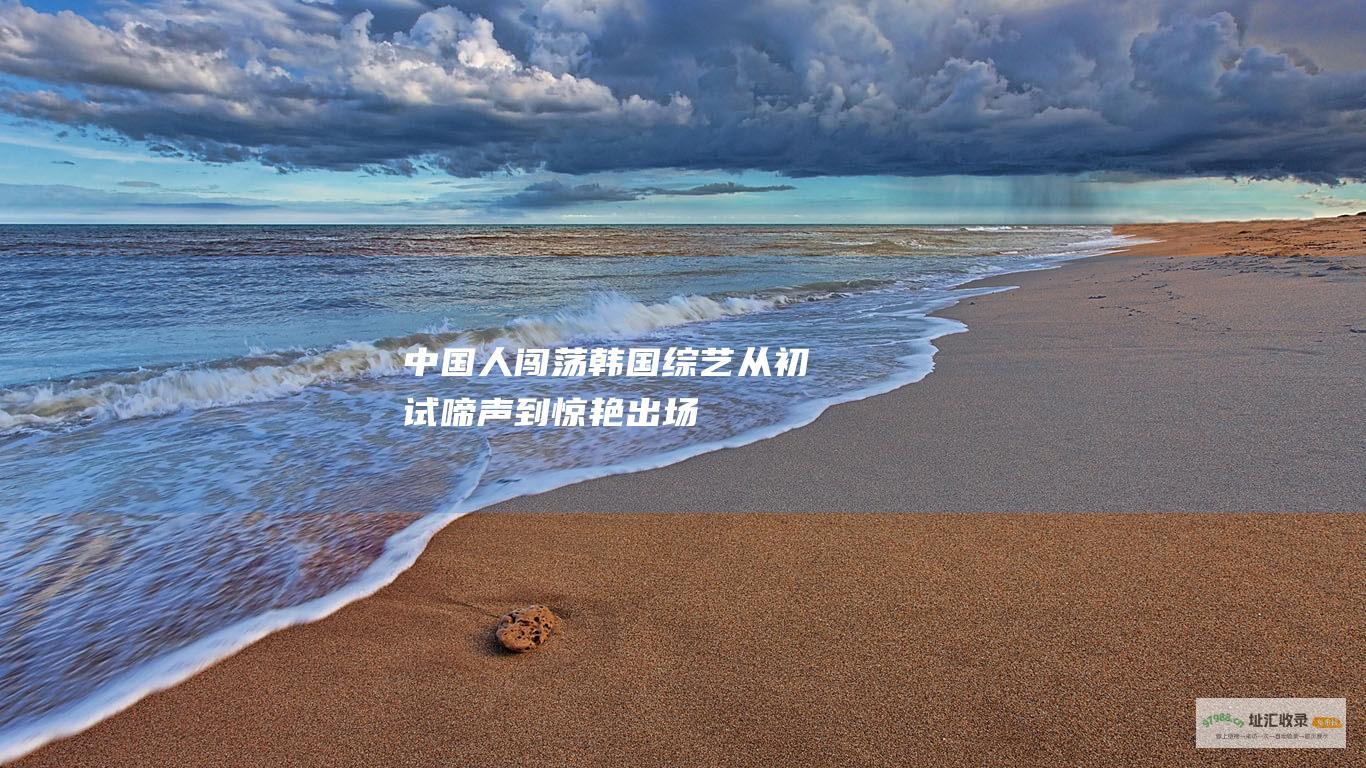 中国人闯荡韩国从初试啼声到惊艳出场