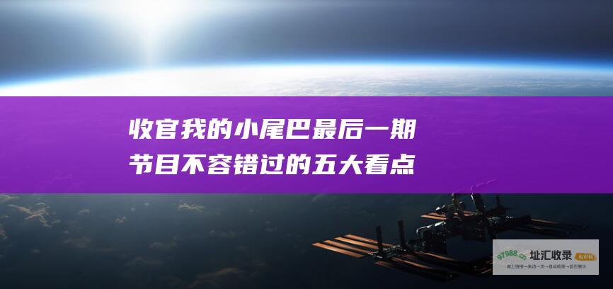 收官我的小尾巴最后一期节目不容错过的五大看点