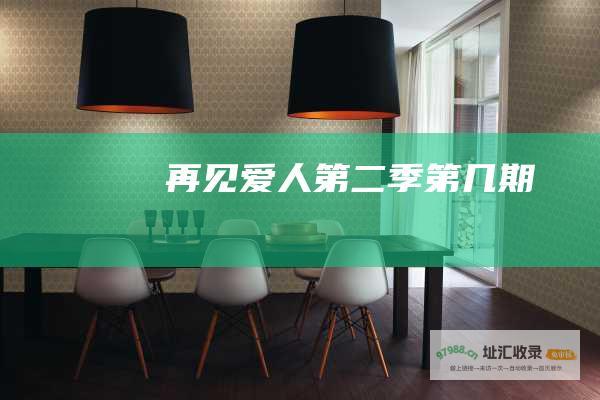 再见爱人第二季第几期