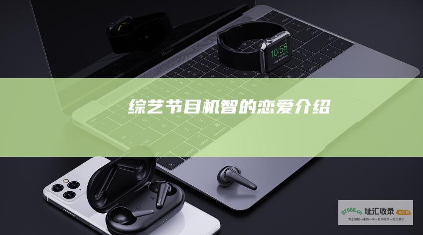 综艺节目机智的恋爱介绍