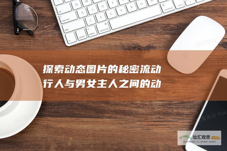 探索动态图片的秘密 流动行人与男女主人之间的动态关系
