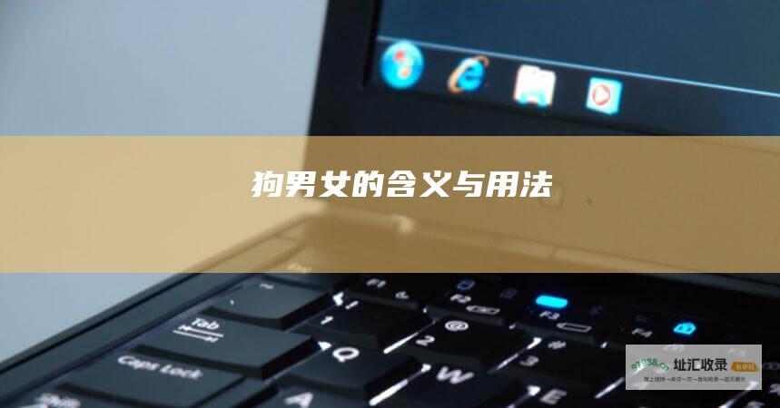 狗男女的含义与用法