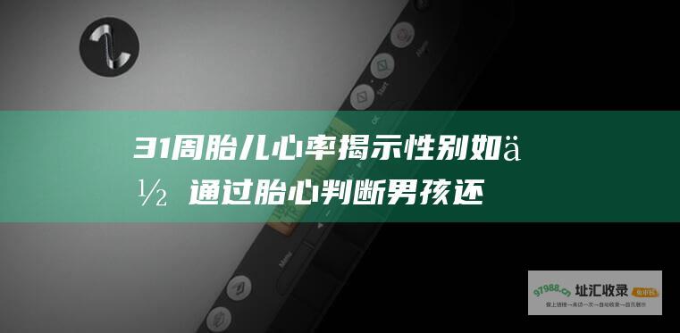 31周胎儿心率揭示性别如何胎心判断男孩还