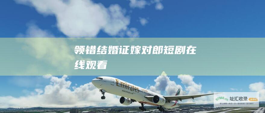 领错结婚证嫁对郎短剧在线观看