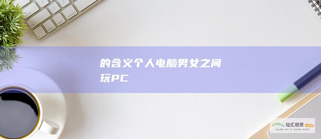 的含义个人电脑男女之间玩PC