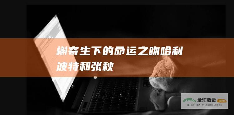 槲寄生下的命运之吻哈利波特和张秋
