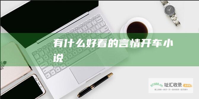 有什么好看的言情开车小说