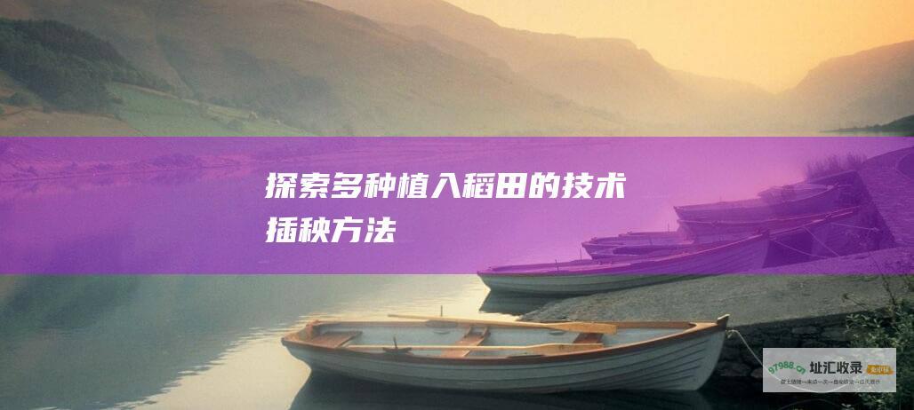 探索多种植入稻田的技术插秧方法