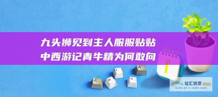 九头狮见到主人服服贴贴 中 西游记 青牛精为何敢向主人丢金刚琢