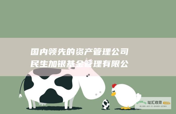 国内领先的资产管理公司民生加银基金管理有限公