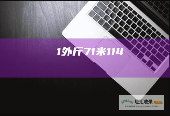 1外斤71米114