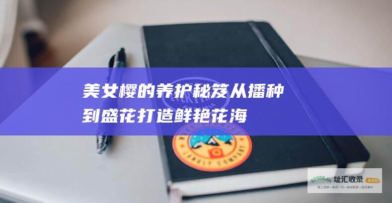 美女樱的养护秘笈从播种到盛花打造鲜艳花海